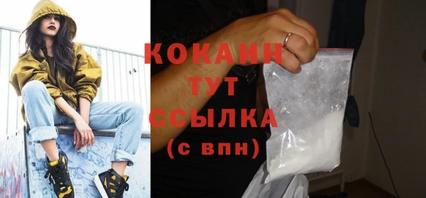 индика Лиски