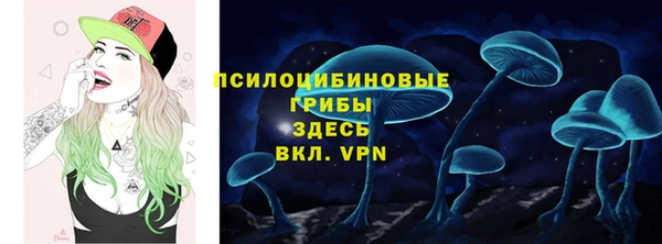сатива Липки