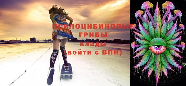 сатива Липки