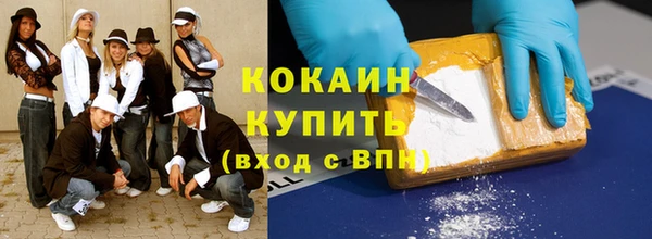 индика Лиски