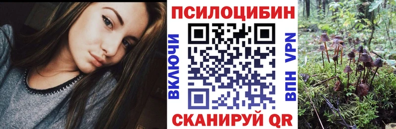 Галлюциногенные грибы прущие грибы  маркетплейс как зайти  Шумиха 